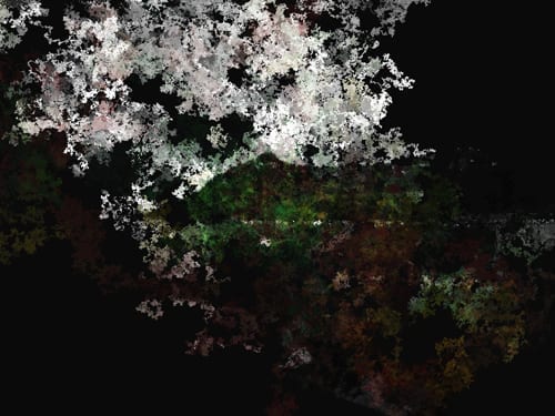 MK_studie_23_net