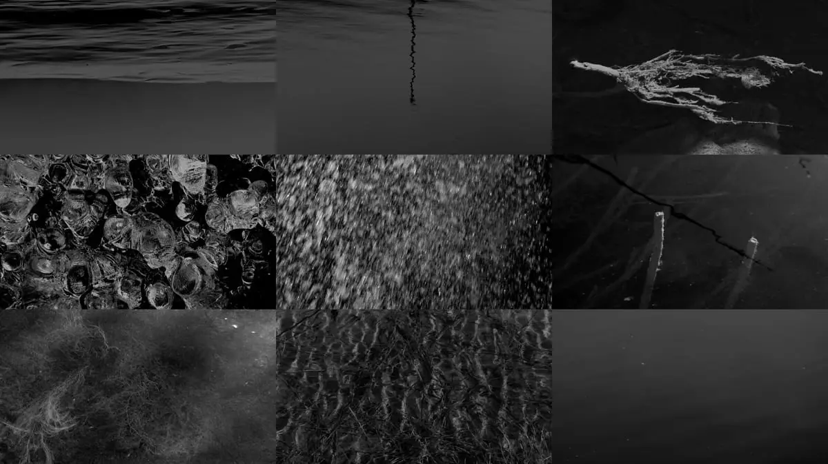 Richard Skelton, Eleventh measure 2017.