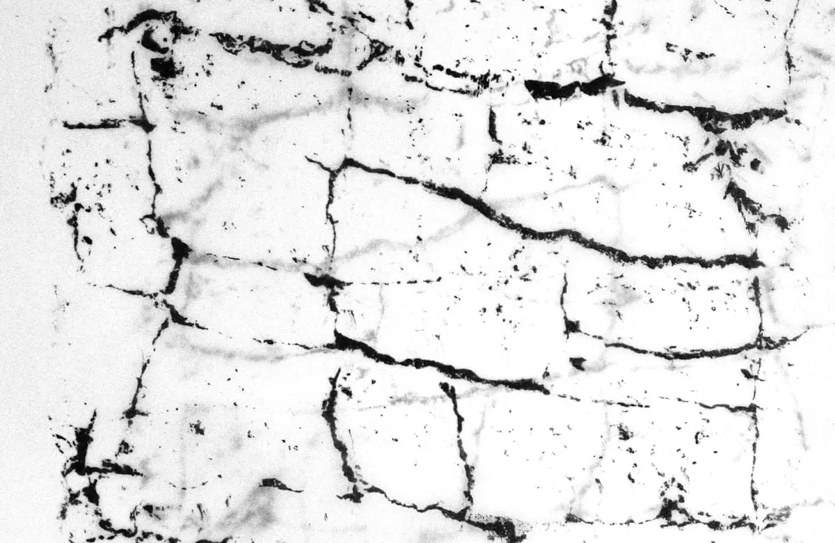 Kati Gausmann, Mountain Print, 2014, detail.